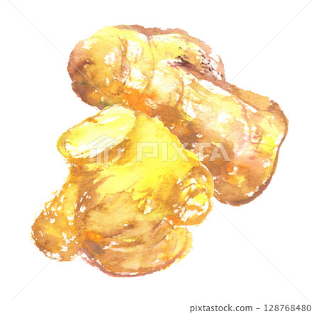 水彩畫的薑的插圖 128768480