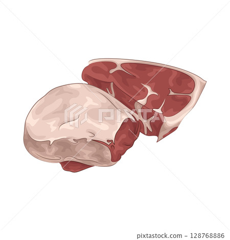 Illustration of Meat Illustration of Meat 128768886