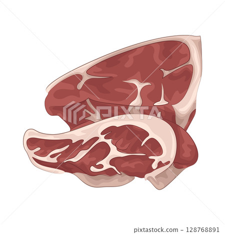 Illustration of Meat 128768891