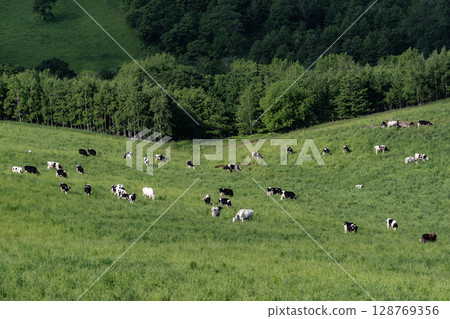 日本最大的牧場 128769356