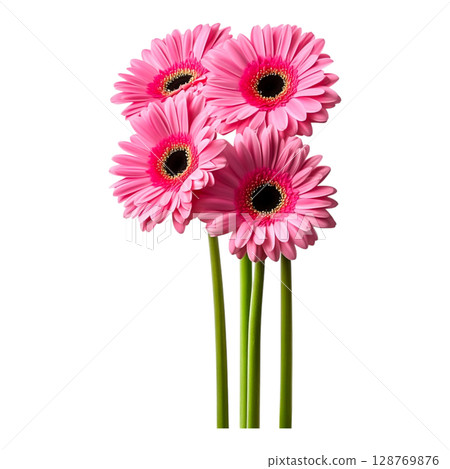 Bright Pink Gerbera Daisies in a Fresh Floral Arrangement with Green Stems 128769876