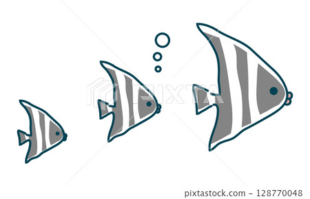黑白條紋的魚 黑白條紋的魚 128770048