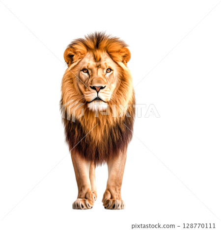Majestic Lion Staring Fiercely at the Camera in a Vibrant Jungle Setting 128770111