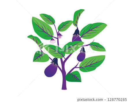 Eggplant illustration material 128770285