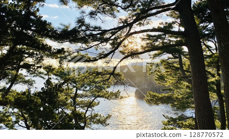 Jogasaki Coast seen through the trees 128770572