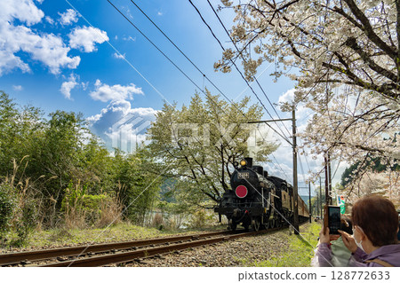 遊客在靜岡縣家山拍攝大井川鐵道蒸汽機車和櫻花 128772633