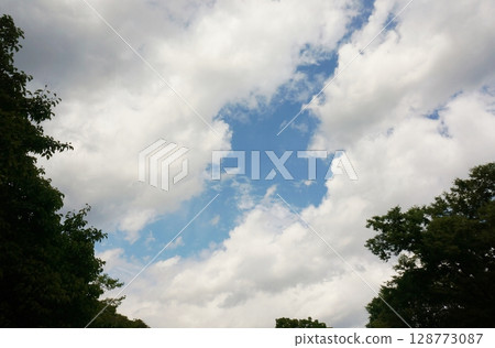 Mountain weather: Sudden rain clouds, sky seen from the forest 128773087