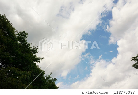 Mountain weather: Sudden rain clouds, sky seen from the forest 128773088