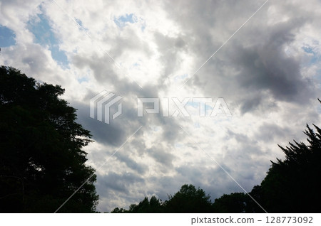 山區天氣：突然下雨的雲，從森林裡看到的天空 128773092