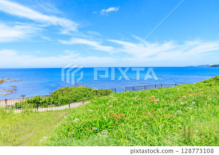 福岡縣蘆屋町的夏日濱和濱湯 128773108