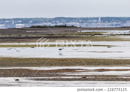 Mirage on Hokkaido's Notsuke Peninsula 128773125