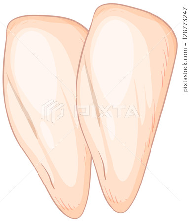 Vector Illustration of Raw Chicken Breasts 128773247