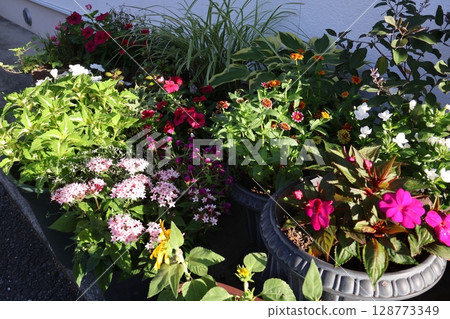 Summer flower group planting & group pot in front of the entrance 128773349