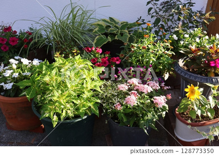 Summer flower group planting & group pot in front of the entrance 128773350
