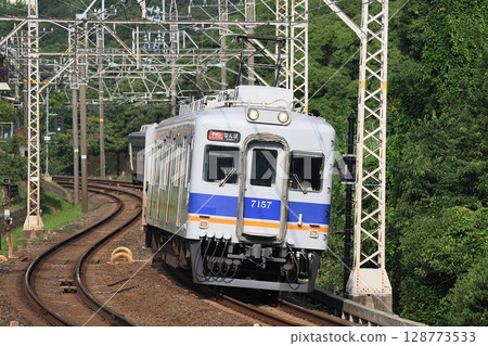 [Nankai] 7100 series + 10000 series Limited Express "Southern" (Nankai Main Line: Tannowa - Hakosaku) 128773533