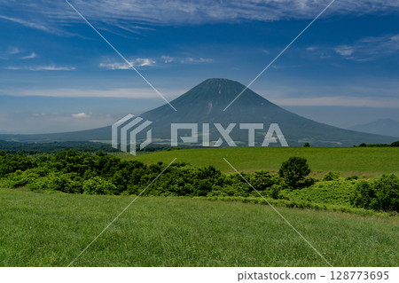 遼闊的草原和羊蹄山 遼闊的草原和羊蹄山 128773695