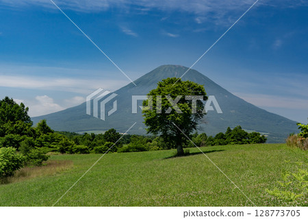 遼闊的草原和羊蹄山 128773705