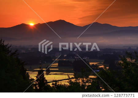 Morning mist in the countryside 128773771