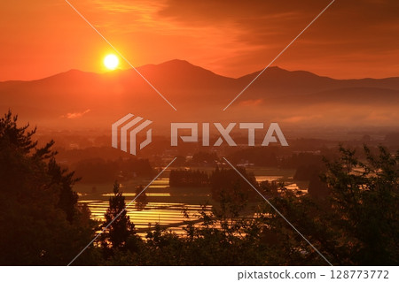 Morning mist in the countryside 128773772