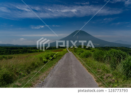 通往羊蹄山的道路 128773793