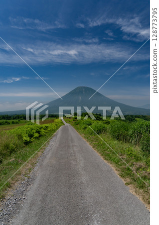 通往羊蹄山的道路 128773795