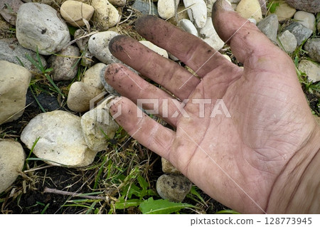 dirty hand after gardening with stones and grass 128773945
