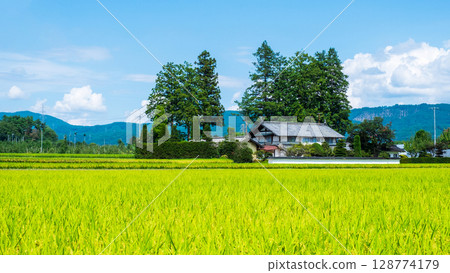 國家景觀在夏天 128774179