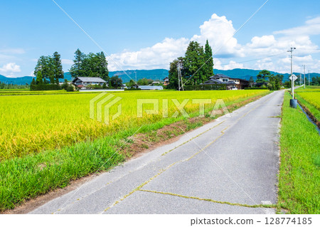 國家景觀在夏天 128774185