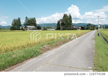 Country landscape in summer 128774186