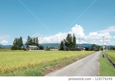 國家景觀在夏天 128774249