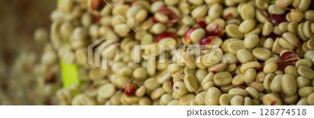 Smart farming techniques machinery roast apparatus coffee bean dry sunlight tool sunbeam sunray sunshine fresh garden produce agriculture promotes farmer concept close up plant farm blur background 128774518