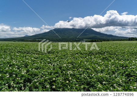 馬鈴薯田的土地 128774896