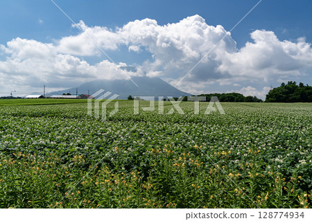 land of potato fields land of potato fields 128774934