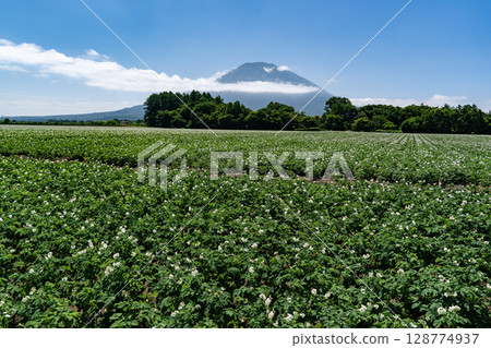 馬鈴薯田的土地 馬鈴薯田的土地 128774937