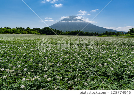 馬鈴薯田的土地 128774946