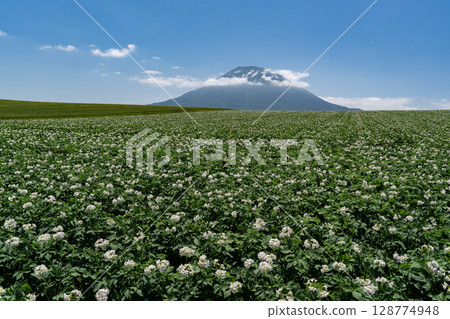 馬鈴薯田的土地 128774948