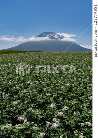 land of potato fields land of potato fields 128774951