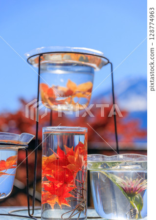 Beautiful autumn captured in underwater flowers 128774963