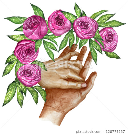 Pink peonies hearts flowers watercolor illustration painting botanical art transparent greeting card stationary wedding bridal home decor. Pink peonies hearts flowers watercolor illustration painting botanical art transparent greeting card stationary wedding bridal home decor. 128775237