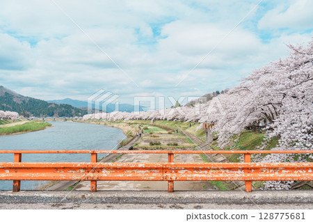 Beautiful Sakura Cherry Blossom in Hinokinai River riverbank in Kakunodate town, Semboku District, Akita Prefecture, Japan. Landmark and Vacation in spring season Beautiful Sakura Cherry Blossom in Hinokinai River riverbank in Kakunodate town, Semboku District, Akita Prefecture, Japan. Landmark and Vacation in spring season 128775681