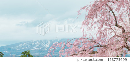 Beautiful Sakura Cherry Blossom and Iwaki mount in Hirosaki Castle park, traveling in Hirosaki city, Aomori, Tohoku, Japan. Landmark famous in Japan. Travel and Vacation destination 128775699