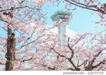 Beautiful Sakura Cherry Blossom in Spring season. Goryokaku Tower park in Hakodate city, Hokkaido prefecture, Japan. famous Landmark, Japan Travel and Vacation destination 128775710