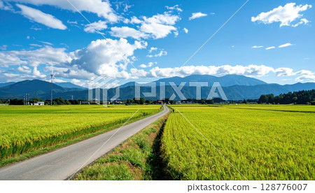 AI image: A road running through a field in the countryside in summer 128776007