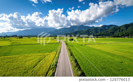 AI image: A road running through a field in the countryside in summer AI image: A road running through a field in the countryside in summer 128776013