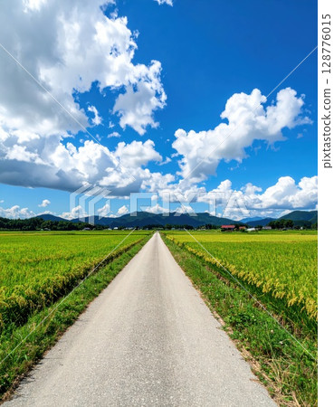 AI image: A road running through a field in the countryside in summer 128776015