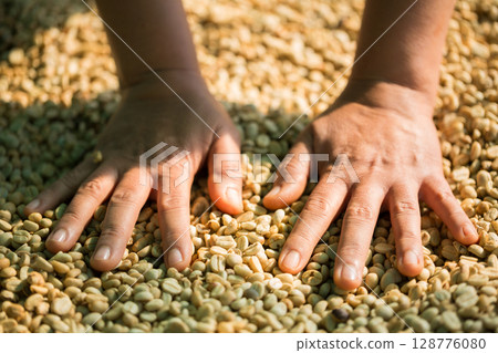 Close up smart farmer techniques hand coffee bean machinery roast apparatus dry sunlight tool sunbeam sunray sunshine fresh garden produce agriculture promotes farmer concept farm blur background 128776080