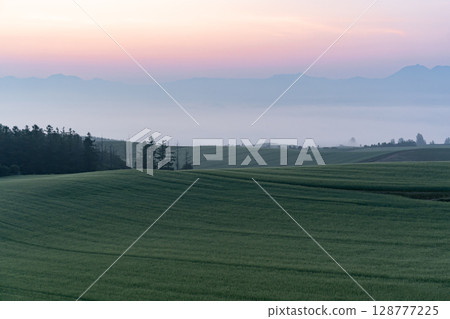 初夏的鄉村景觀與土地 128777225