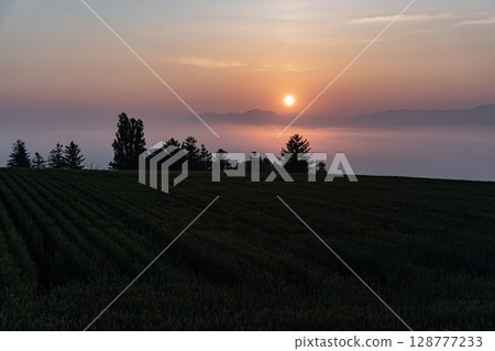 初夏的鄉村景觀與土地 128777233