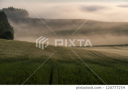 初夏的鄉村景觀與土地 128777254