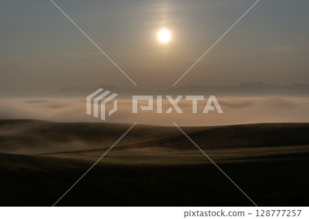 Rural landscape and earth in early summer 128777257